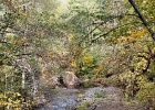 UPCREEK FALL 